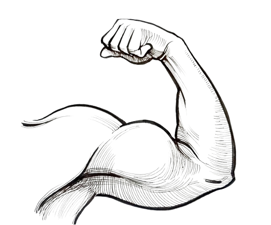 biceps-image